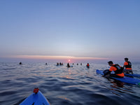 New Years Day Sunrise Paddle 2020 at Motuotau, an island off Main Beach, Mt Maunganui.